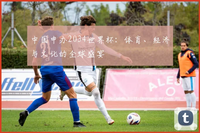 中国申办2034世界杯：体育、经济与文化的全球盛宴