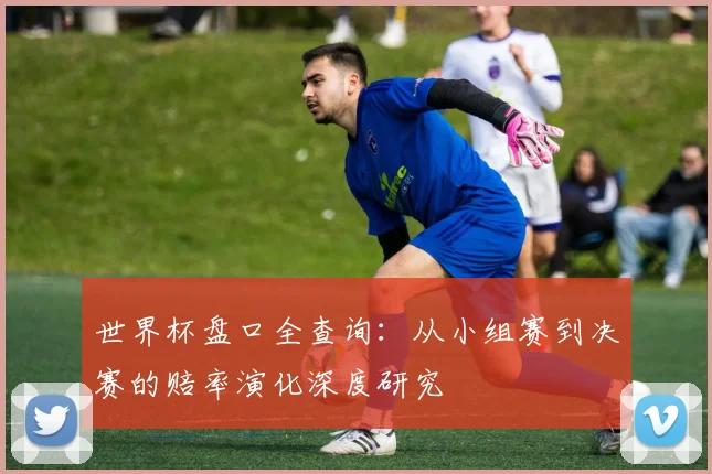 世界杯盘口全查询：从小组赛到决赛的赔率演化深度研究