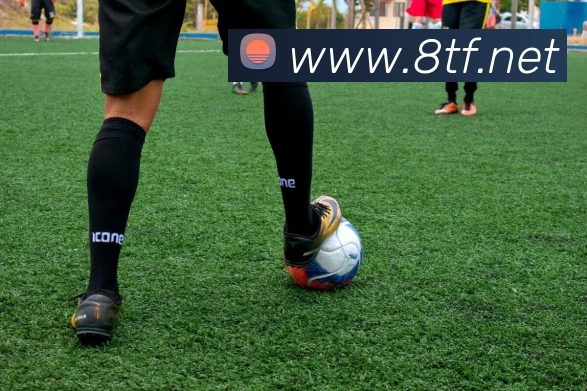 米兰在线登录入口网址品牌故事