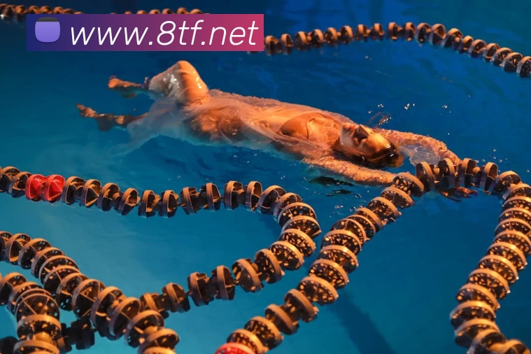 米兰在线登录入口网址服务体系