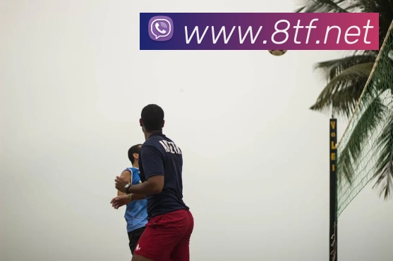 对战数据统计